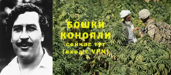 apvp Балабаново