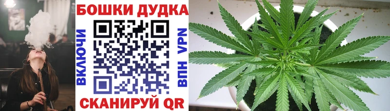 где можно купить   Горнозаводск  Бошки Шишки THC 21% 